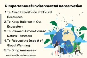 Benefits of Environmental Awareness in Everyday Life