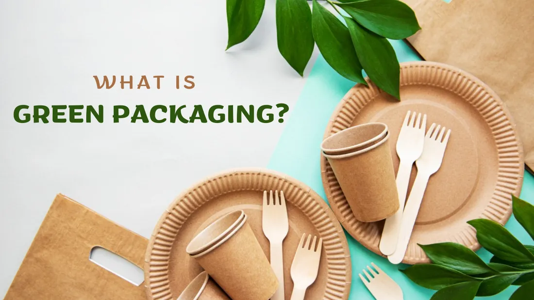 Guide to Green Packaging in 2024