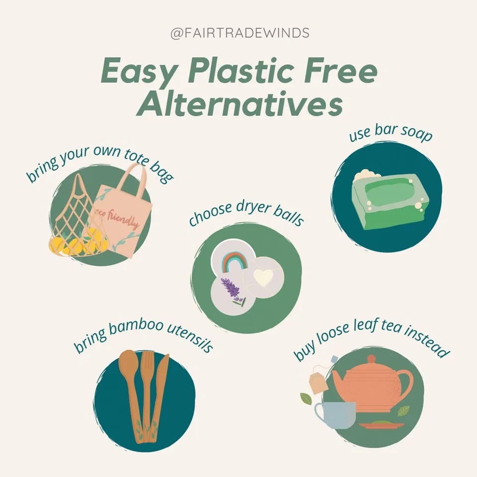The Rise of Plastic Alternatives in Everyday Life