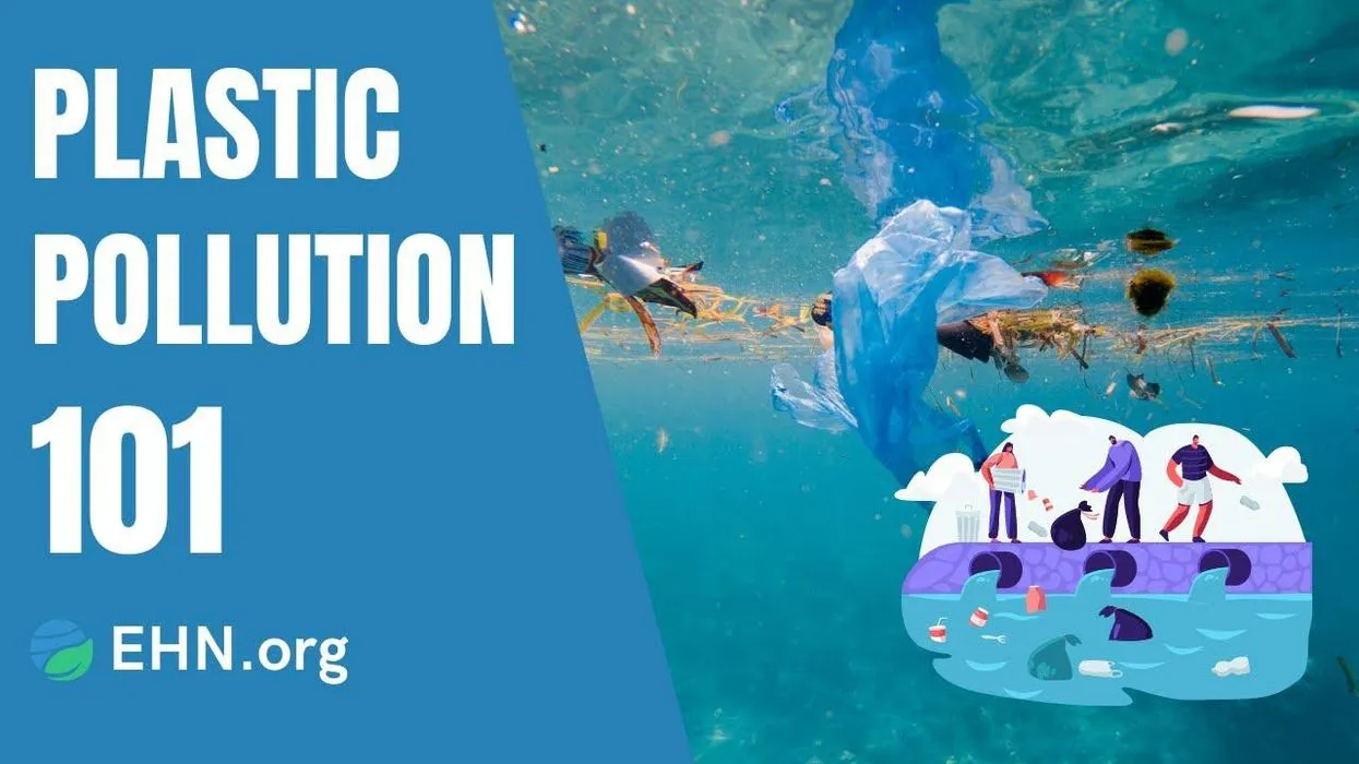 Why Plastic Pollution in Eco Living