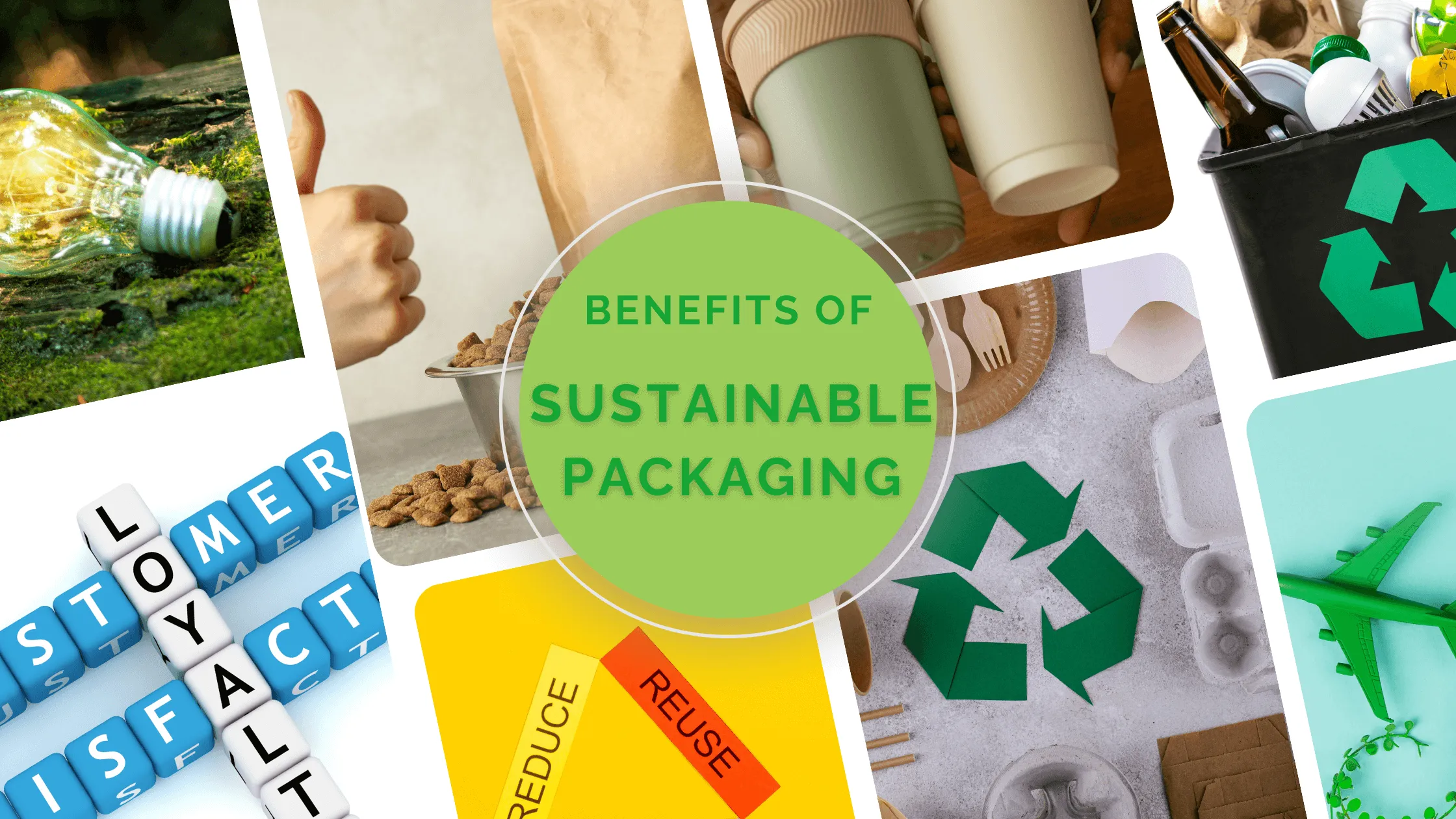 Benefits of Green Packaging in the Modern World
