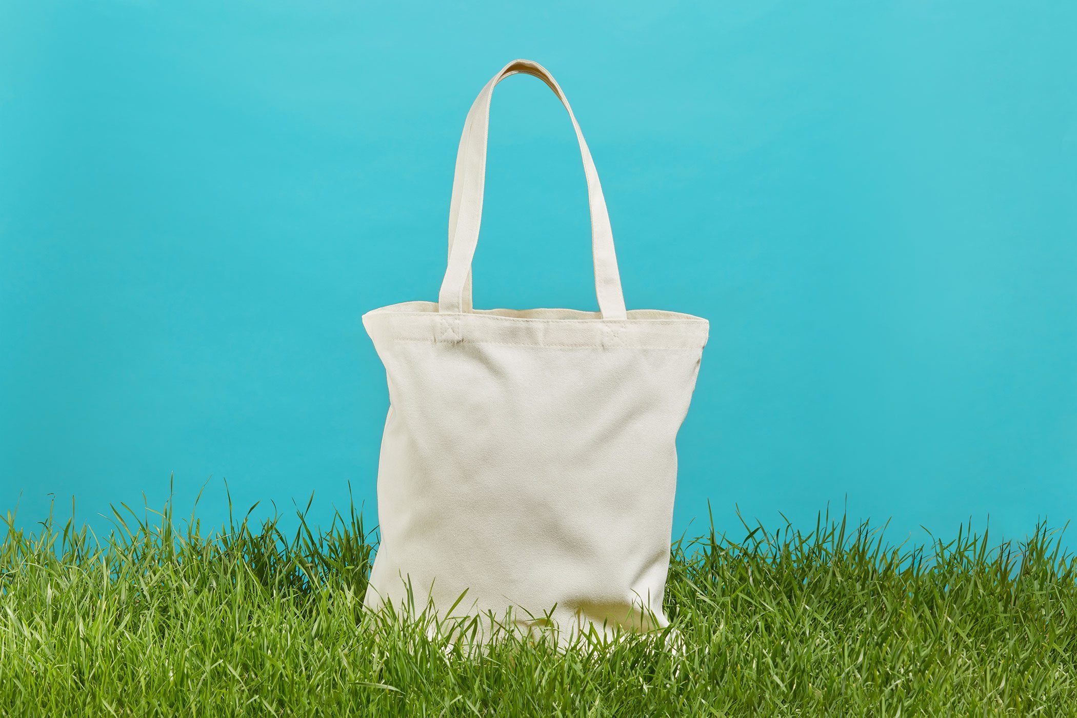 Benefits of Reusable Bags in Everyday Life