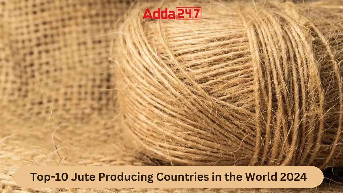 Exploring Jute Production in the Modern World