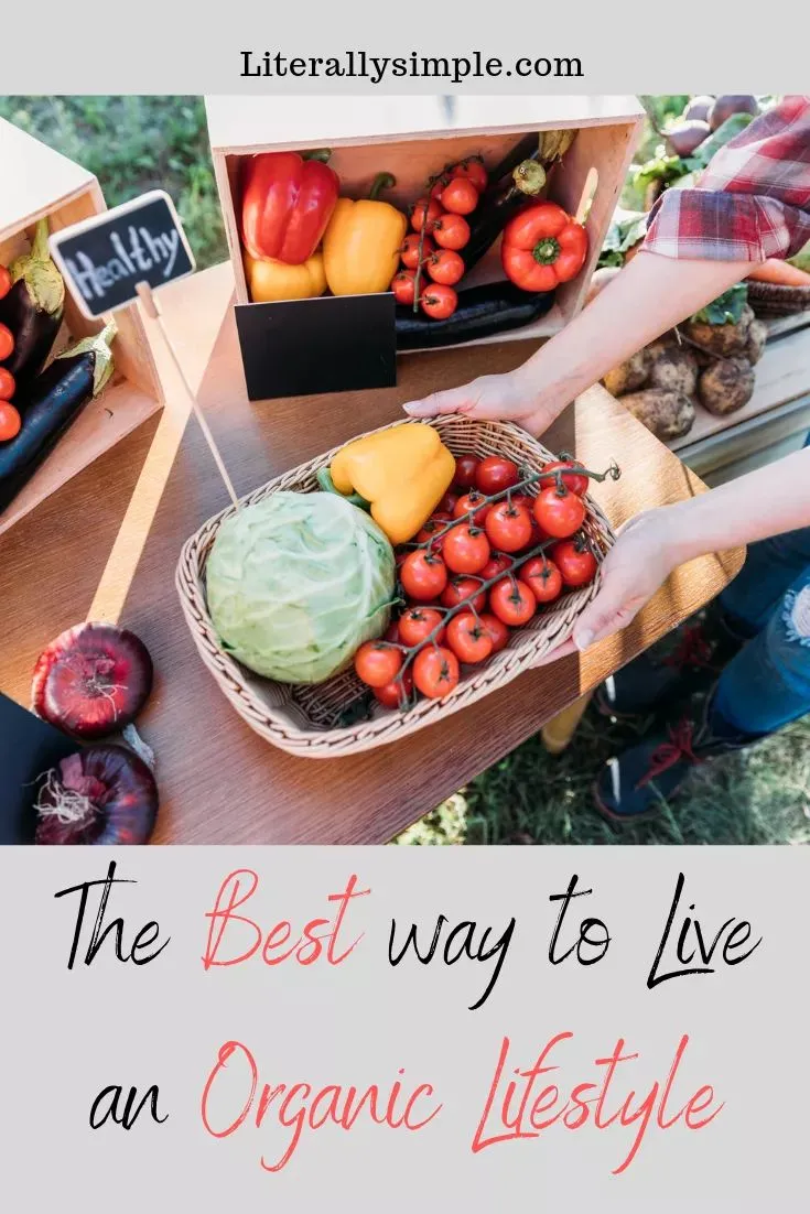 How Organic Lifestyle in Everyday Life