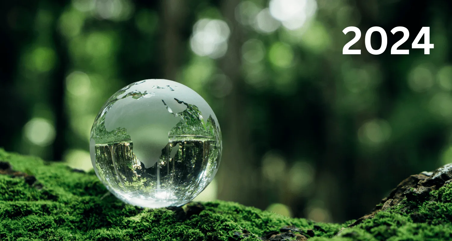 Exploring Eco Trends in 2024