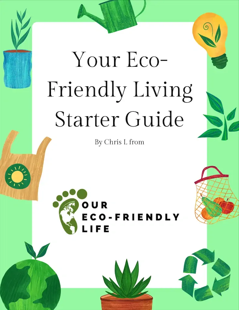 Guide to Eco-Friendly Products in Eco Living