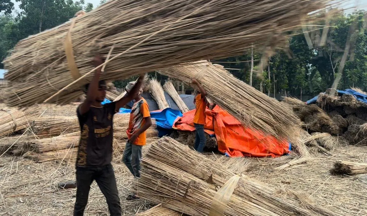 Why Jute Production in Eco Living