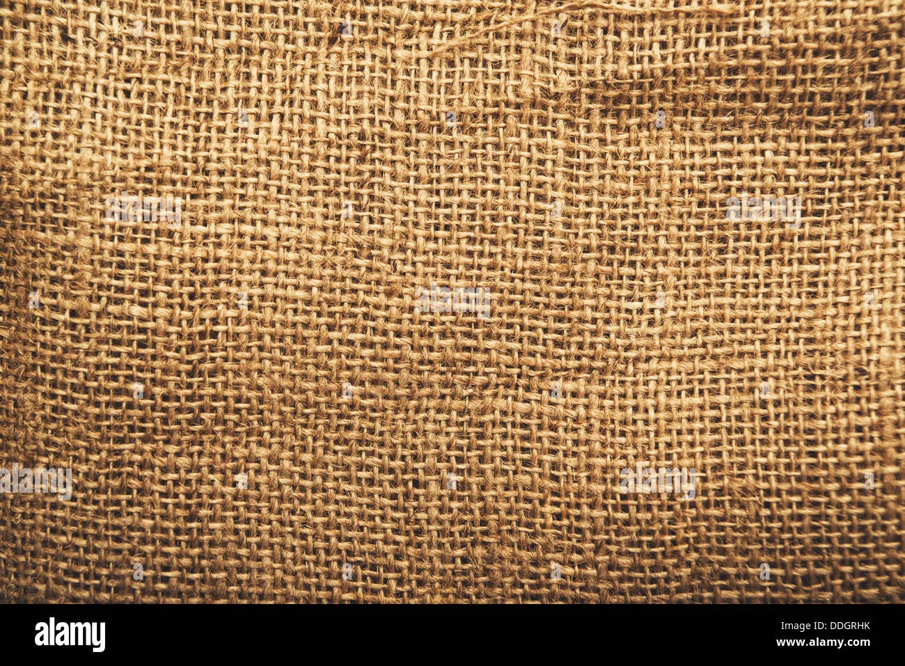 Natural Texture Sack